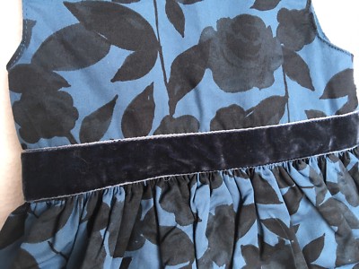 CARTERS Girl 3 Months Dress Blue Cotton W/ Velvet Flowers Summer Special  Day for sale online | eBay