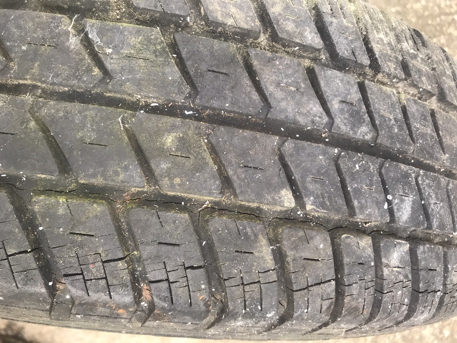 Picture 6 of 7