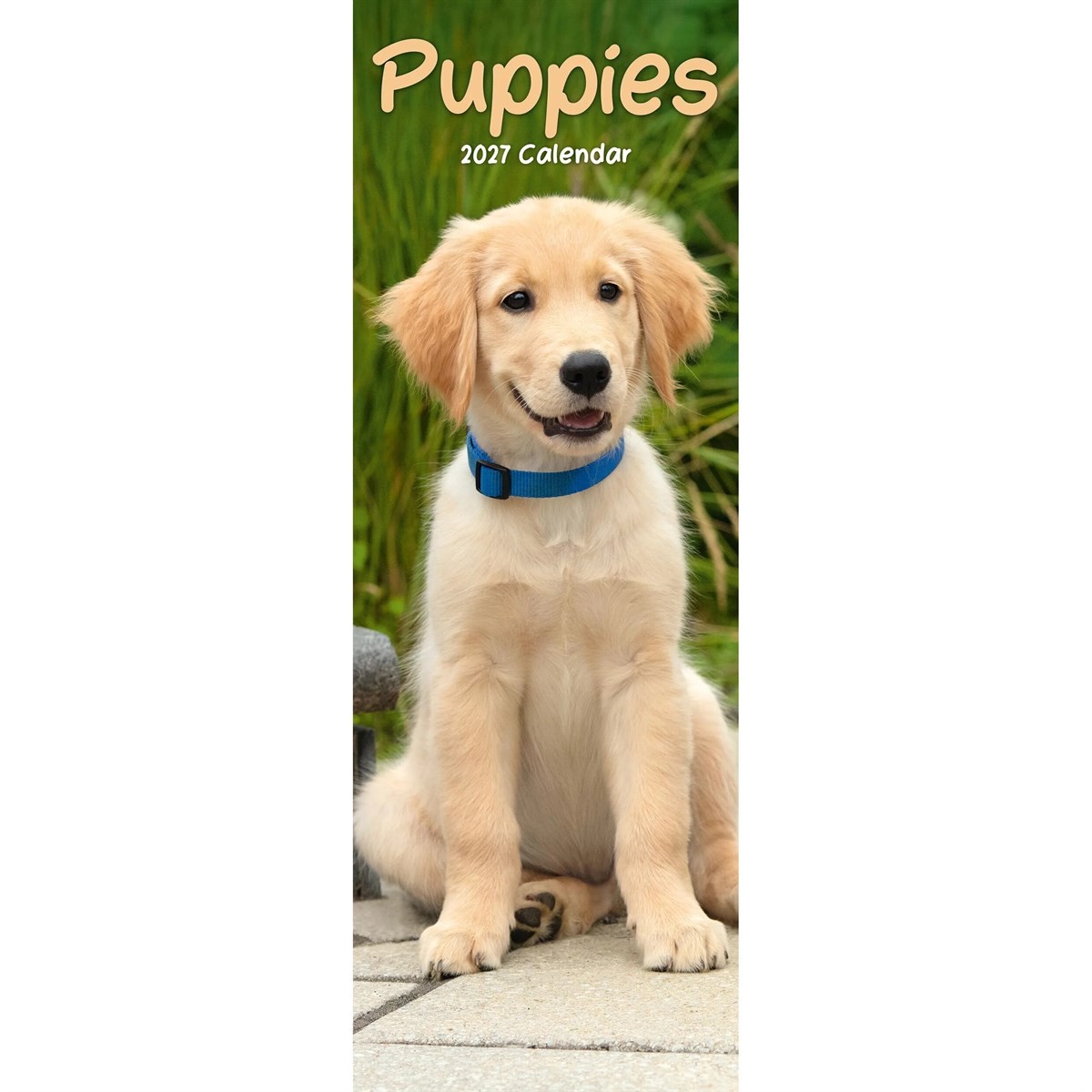 Puppies Slim 2027 Calendar | Slimline Wall Calendar | Dog Breed Gift | Plastic Free Packaging | by Avonside Publishing - Image 4