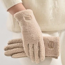 Imitation Teddy Hair Suede Women Gloves Winter Warm Touch Screen Thicken Gloves