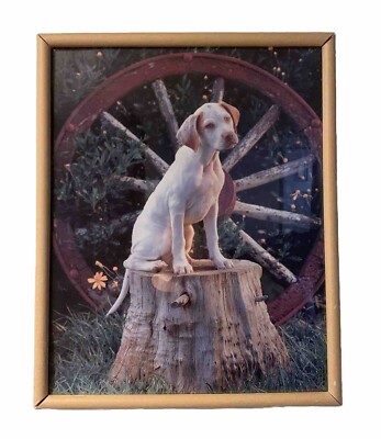 English Pointer Puppy Dog Wildlife Animal Framed Wall Decor Picture Art
