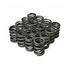 Skunk2 Racing Alpha Series Valve Springs Set for Honda B-Series DOHC VTEC
