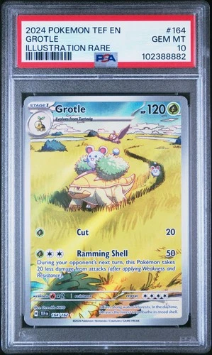 2024 POKEMON TEF EN-TEMPORAL FORCES ILLUSTRATION RARE #164 GROTLE PSA 10