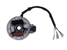 2 Coil Ignition Magneto Stator Compatible with 50cc 70cc 90cc 110cc 125cc Tao...