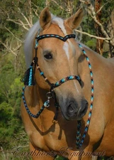 Earthhorse Equipment, V Brow Bitless bridle  Black and "Apache Dream" Tassels