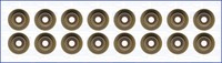 Ventilschaftdichtungssatz Citroen Jumper 10-