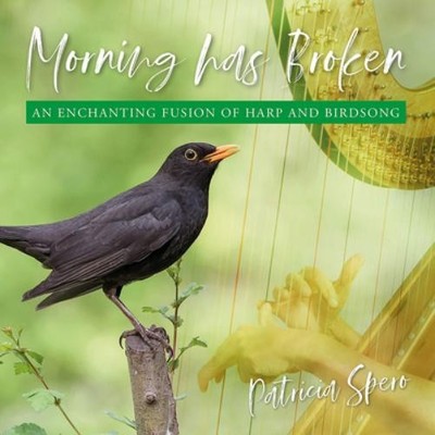Patricia Spero Morning Has Broken: An Enchanting Fusion of Harp (CD) (US IMPORT)