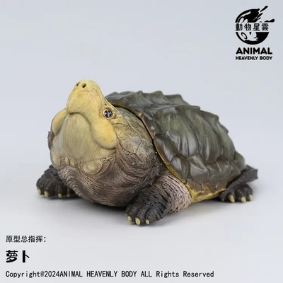 #ad Animal Heavenly Body Alligator Snapping Turtle Statue Macrochelys temminckii $39.99