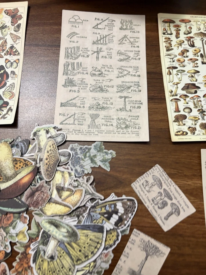 60 Pieces New Scrapbook Cutouts Woodland Butterflies Flowers Mushrooms - Image 3 of 4