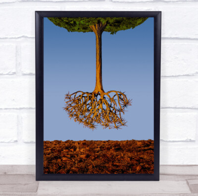 Namibia Köcher Baum Wurzeln Wurzel Creative Edit Einsame Bäume Boden Wandbild Kunstdruck