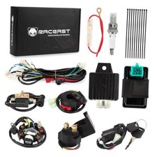 Complete Wiring Harness Kit for Tao tao 50cc 70cc 90cc 110cc 125cc ATV Quad