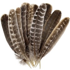 50pcs Natural Turkey Feathers 10-12 50 Count Pack of 1 , 10-12inch