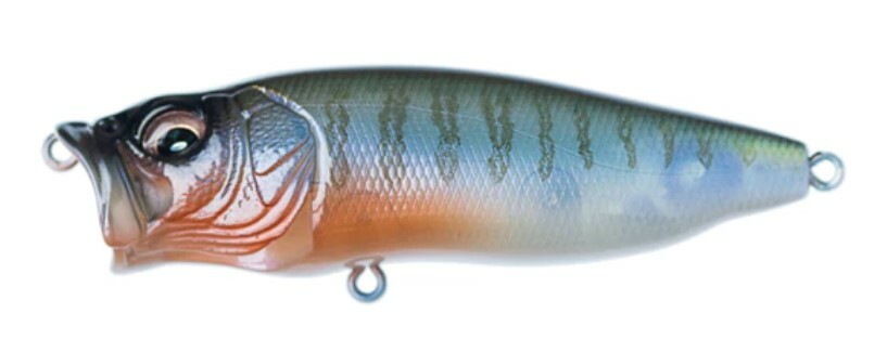Megabass　POPMAX Megabass POPMAX FORTUNE-X 2024 Limited Color – blueseabass