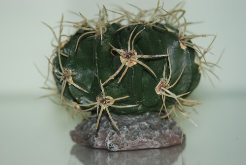 Vivarium Reptile Cactus With Spines & Rock Base Decoration 9.5 x 9.5 x 7 cms - Picture 3 of 3
