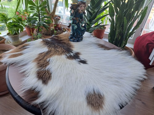 Turkish Goat Skin, Scandinavian Style, Goat Pelt, Mottled Leather, 1.4 x 2 ft - Picture 19 of 19