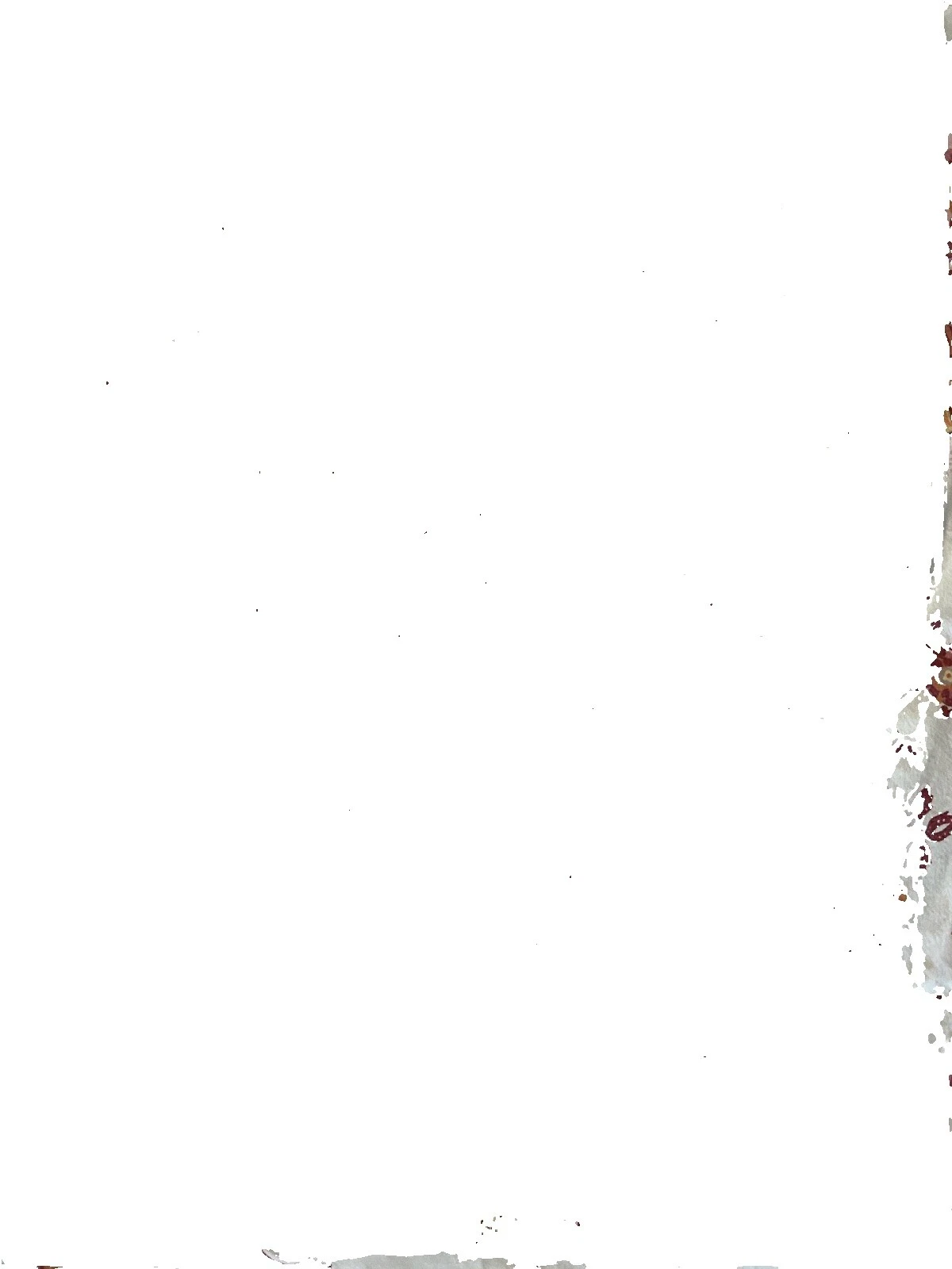 Hojas de cama floral Pottery Barn