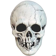 White Night Owl Skull Plastic Overhead Mask - Trick Or Treat Studios