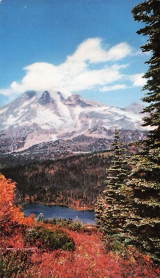 Postcard WA Mount Rainer Snow Capped United Ait Lines Pacific Northwest