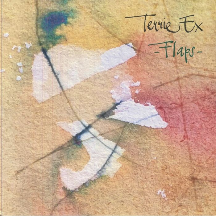 TERRIE EX - Flaps! - Vinyl (LP)