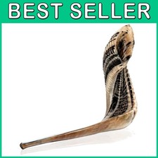 Israeli Kosher Ram Shofar 16"-18" D Key