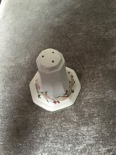 Eternal Beau Salt Shaker 