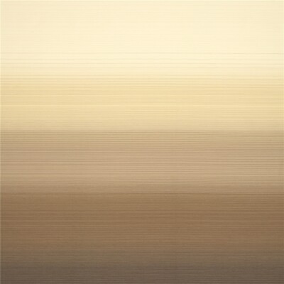 Architex Sandy Beach Rx 8001 Fabric 100% Trevira CS 54'' x 1 Linear Yard