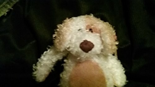 Тай Бини Бэбиз Диггс