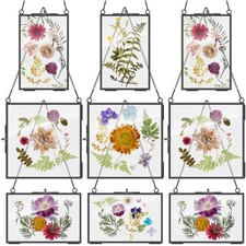 Geetery 9 Pcs Glass Frame for Pressed Flowers 6x4 4x6 6x6 in Black Hanging Pi...