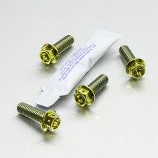 Titanium Pillion Footrest Hanger Bolt Kit Race Spec TIPREST290R Gold | Pro-Bolt