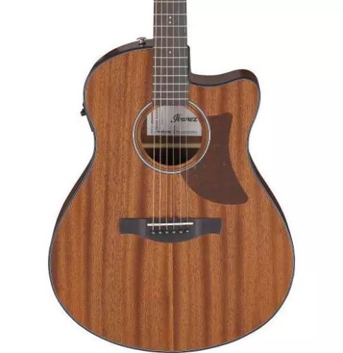 Ibanez AAM54CEOPN Advanced Auditorium Acoustic Electric Guitar - Natural