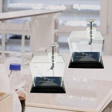 Leaf Electroscope Electrical Science Gadgets Experiment