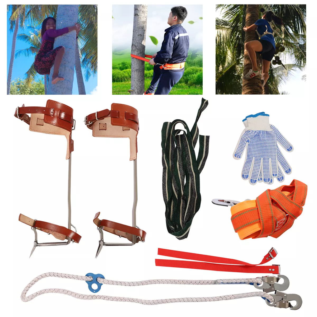 Tree climbing equipment deals