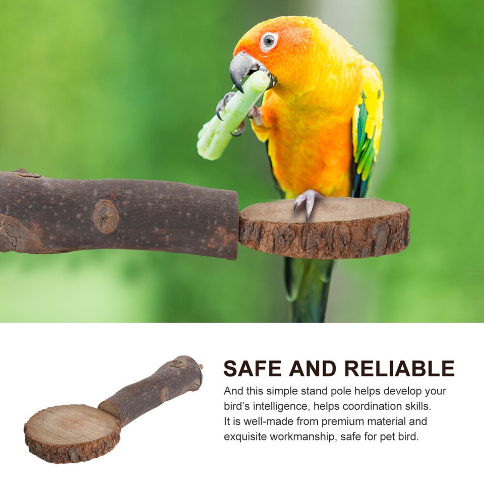 Pet Bird Standing Gangplank Cockatiel Toys Parrot on The Bar eBay