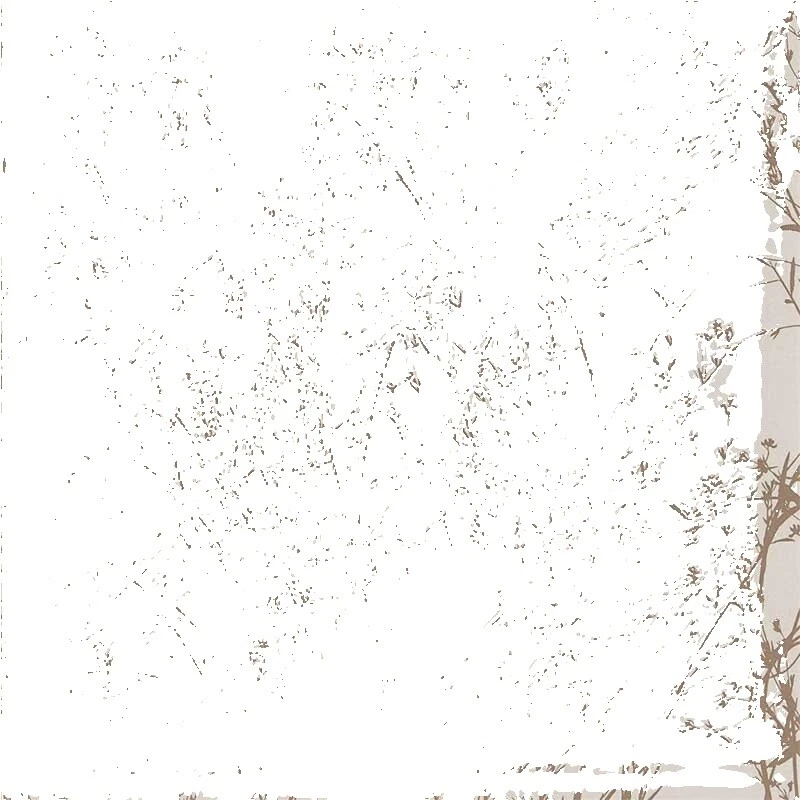 Sanderson Wallpaper, herramientas y accesorios