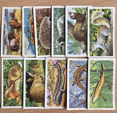 British Wild Life ''Brooke Bond Tea Ltd'' Variant - 3rd Print - Pick Yours