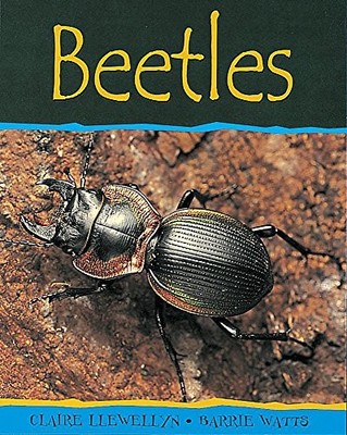 Beetles: 5 (Minibeasts) - Llewellyn, Claire