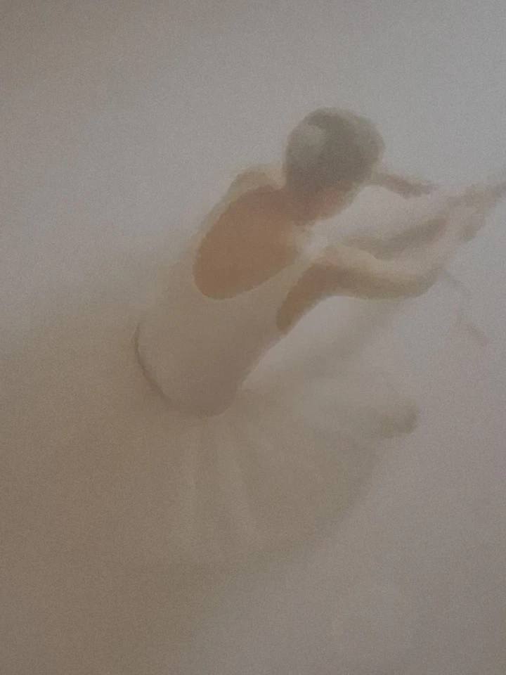 Andrée “Ballet Special II” Signed Lithograph | Limited Edition Framed &... - Image 4 of 4