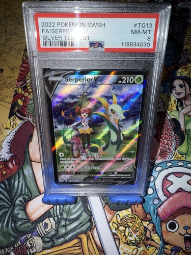 Serperior V graded PSA 8 for sale on eBay