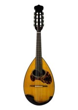 Venezia Mandolin M-50 Kiso Suzuki supervised by Shojiro Ishikawa W/ case