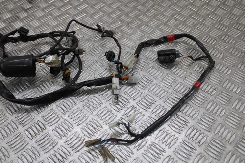 Arnés telar cableado Aprilia Pegaso 650 Strada 2007 2005 - 2010 - Imagen 2 de 5