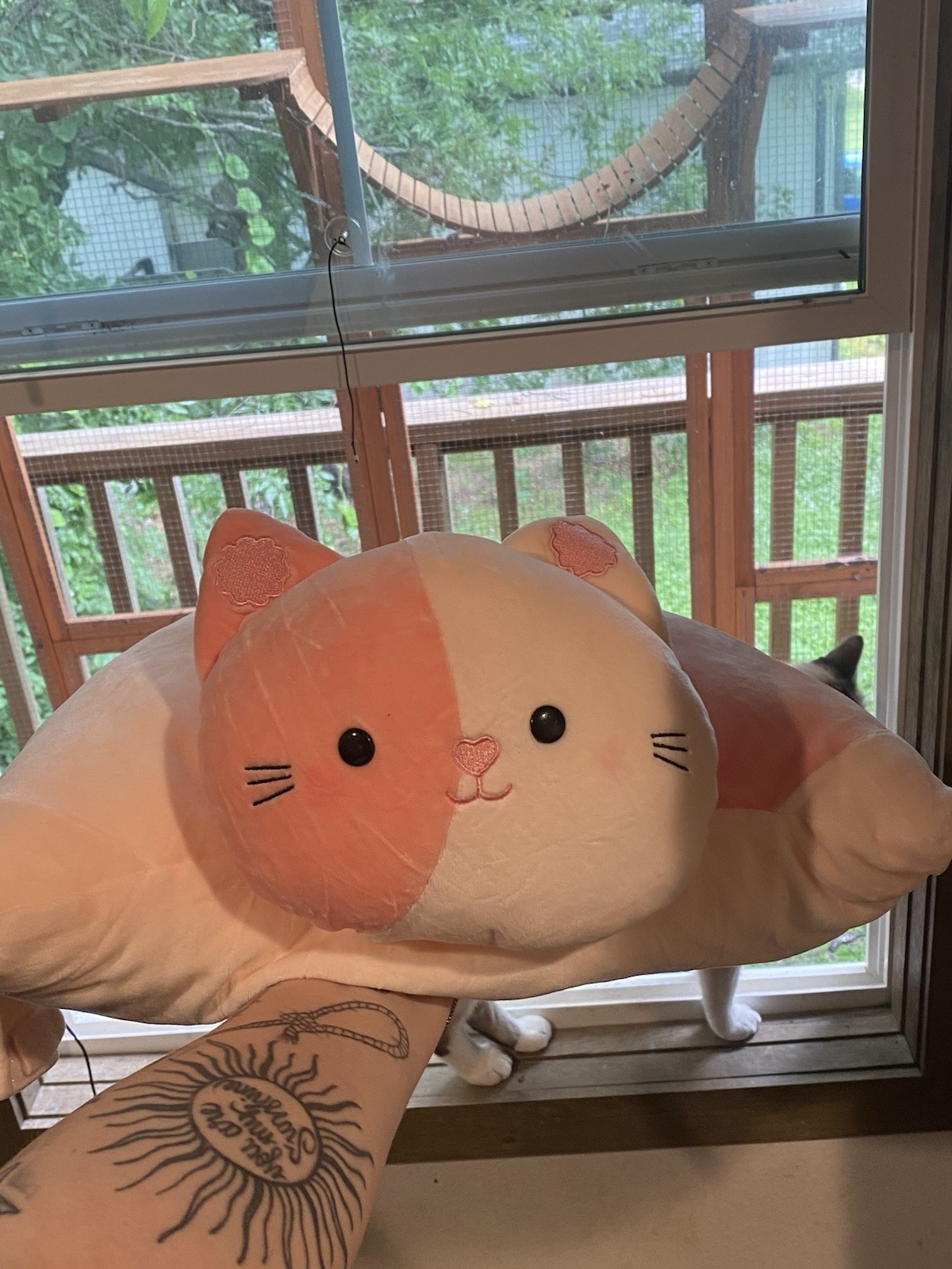 Cat Pillow Pet