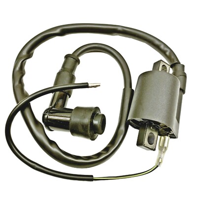 NEW IGNITION COIL 1999 POLARIS 500 WORKER 4x4 EBS 99