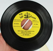 TOP HIT TUNES TILL / THE STORY OF MY LIFE / AT THE HOP 45 7" VINYL *QUICK SHIP*