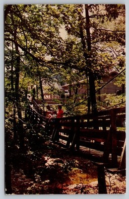 Silver Dollar City Branson MO Postcard Mike Roberts Ozarks swinging bridge