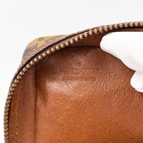 Louis Vuitton Monogram Mini Amazon Shoulder Bag - Picture 13 of 20
