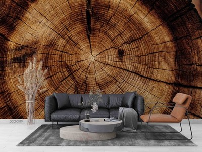 3D Wood Growth Rings Texture Closeup Wall Murals Wallpaper Murals Wall Sticker