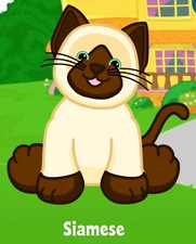 Webkinz Classic Siamese - hm160 - Virtual Adoption Code Only