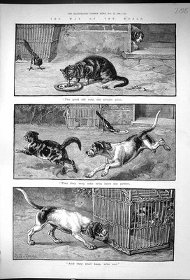 Original alter antiker Druck 1886 Hunde Katzen Weg Die Welt Papa Vogelkäfig 19.