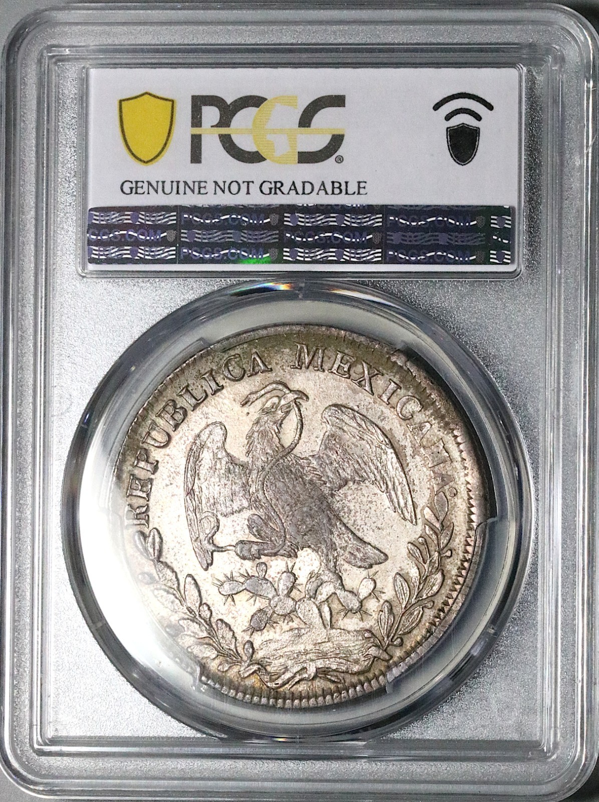1826-Go JJ PCGS AU Mexico 8 Reales Guanajuato Mint Rare Silver Coin (25120202D)