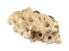 20kg Aquarium Ocean Rock Fish Limestone For Rift Lake Cichlids